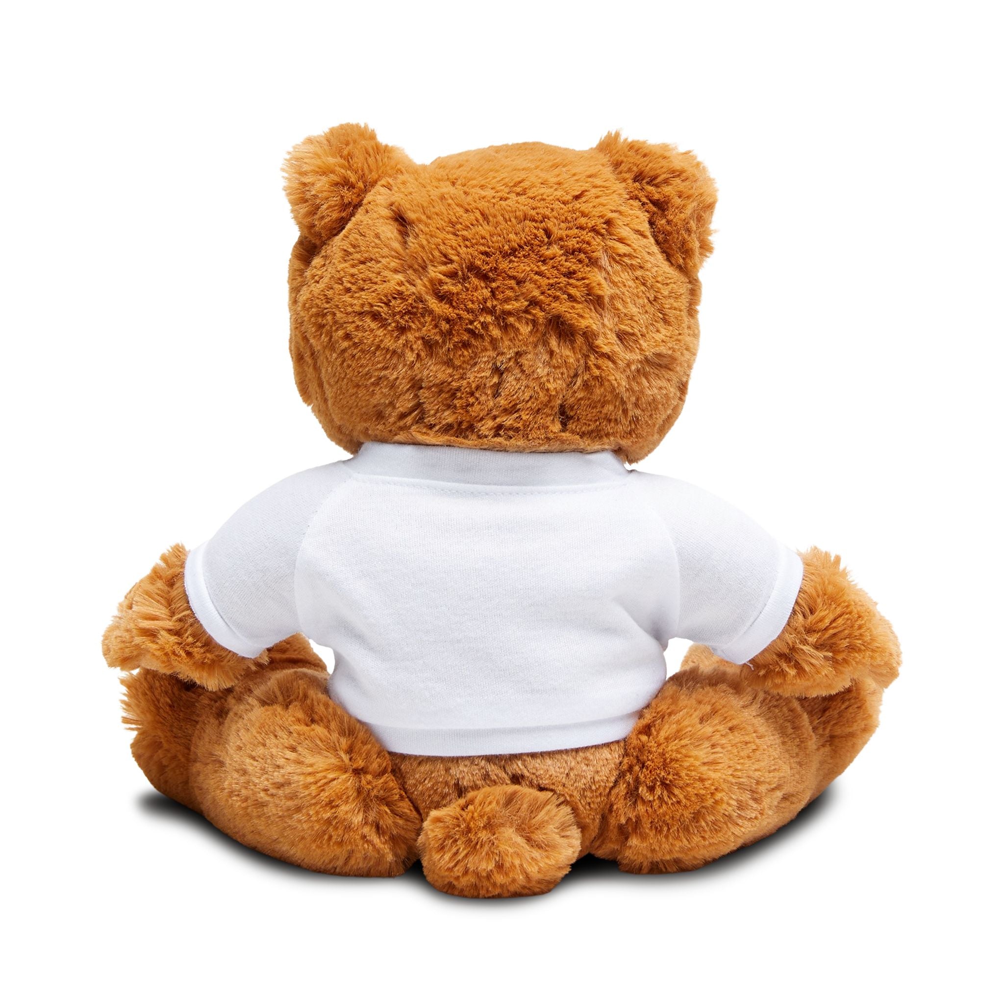 A.S.K. TEDDY